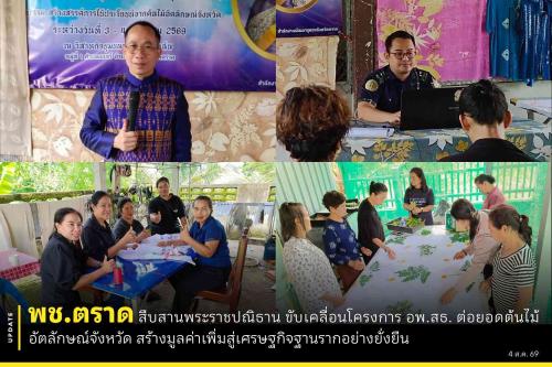 🌳🍍พช.ตราด สืบสานพระราชปณิธาน ขับเคลื่อนโครงการ อพ.สธ. ต่อยอดต้นไม้อัตลักษณ์จังหวัด สร้างมูลค่าเพิ่มสู่เศรษฐกิจฐานรากอย่างยั่งยืน